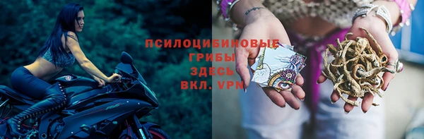mdpv Каменка
