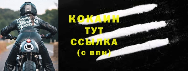 mdpv Каменка