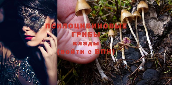 каннабис Каменск-Шахтинский
