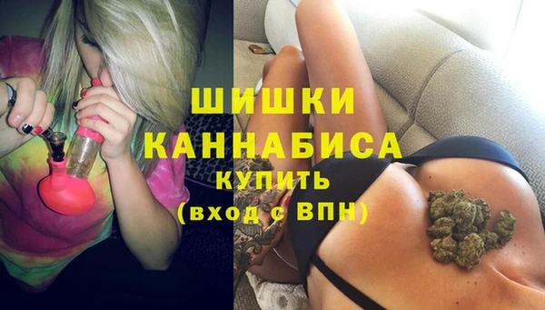 mdpv Каменка