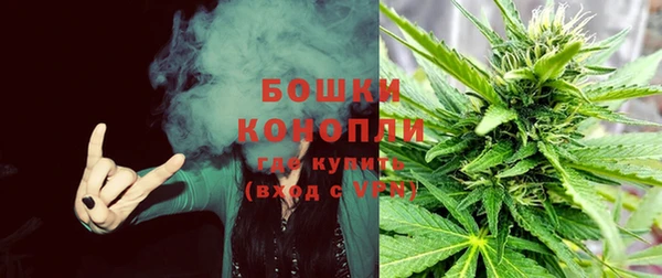 гидропоника Каменногорск