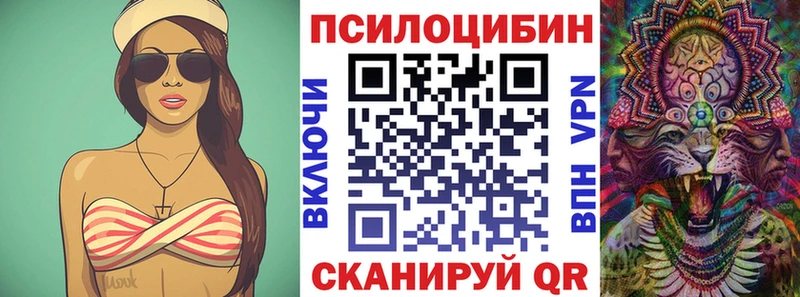 Купить где Окуловка Галлюциногенные грибы GOLDEN TEACHER